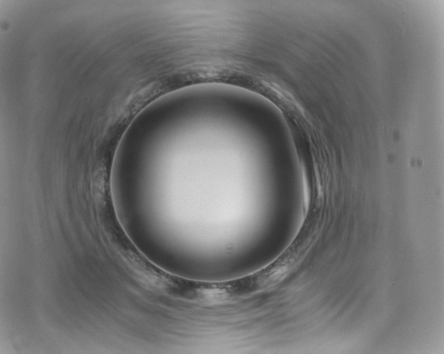 X0000073920509200608111226