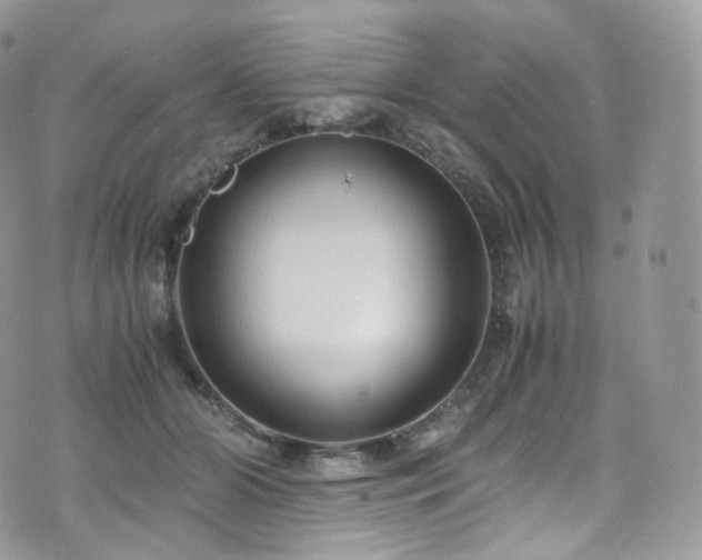 X0000073920510200608111226