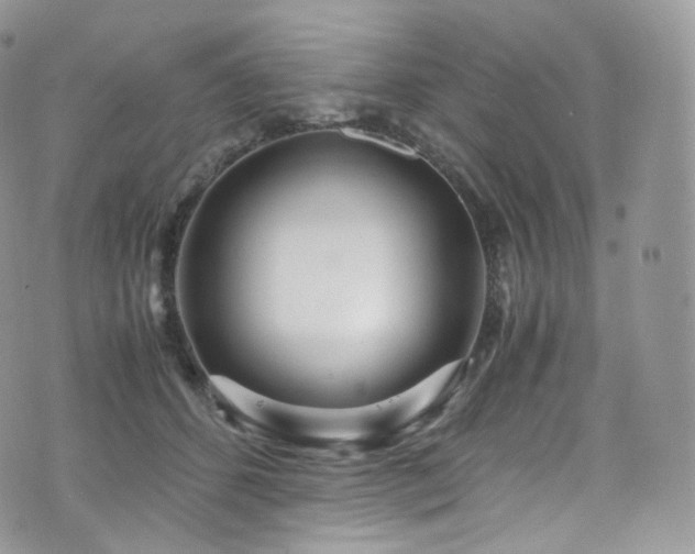 X0000073920512200608111226