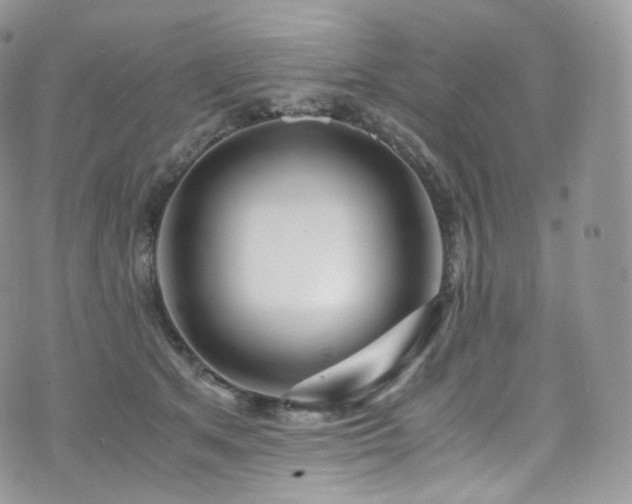 X0000073920513200608111226