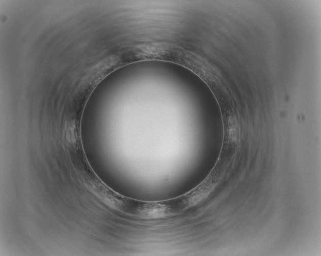 X0000073920514200608111226