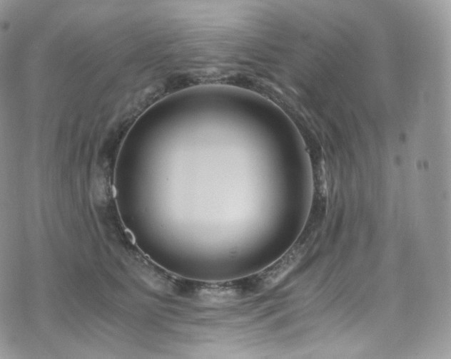 X0000073920515200608111226