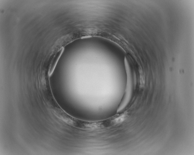 X0000073920516200608111226