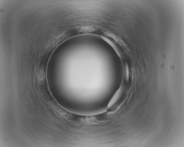 X0000073920517200608111226