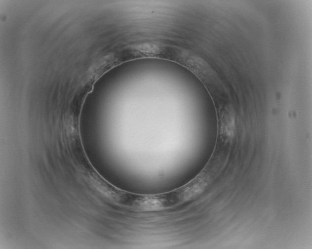 X0000073920518200608111226