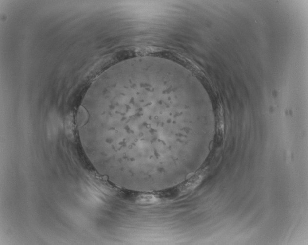 X0000073920519200608111226