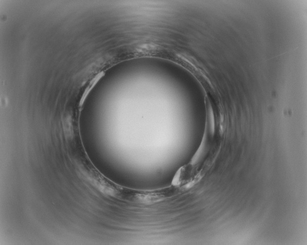 X0000073920520200608111226