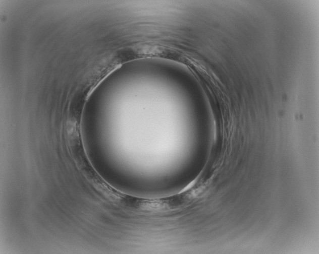 X0000073920521200608111226