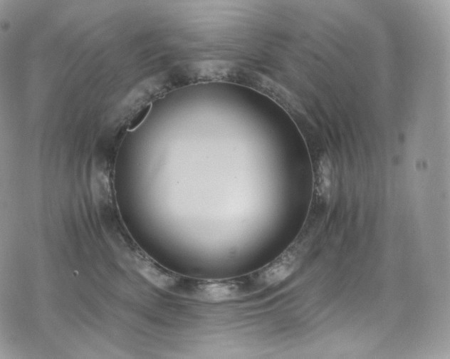 X0000073920522200608111226