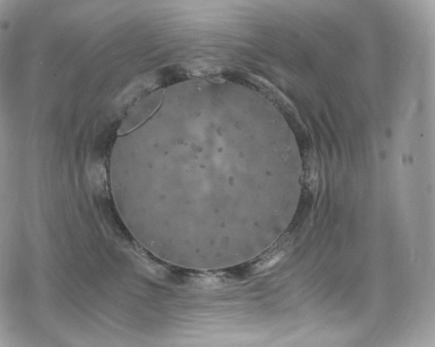 X0000073920523200608111226