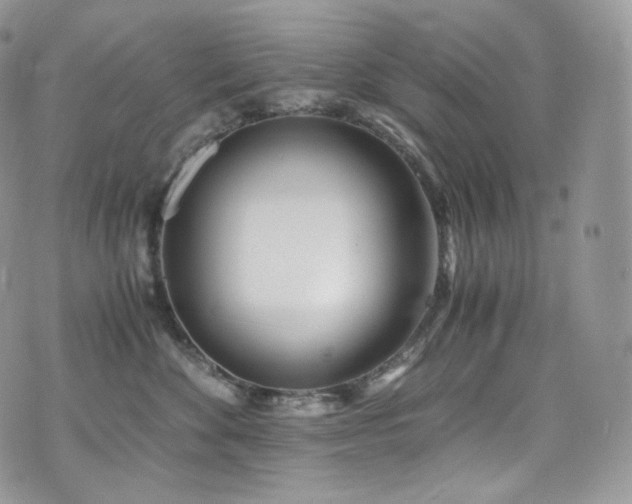 X0000073920524200608111226