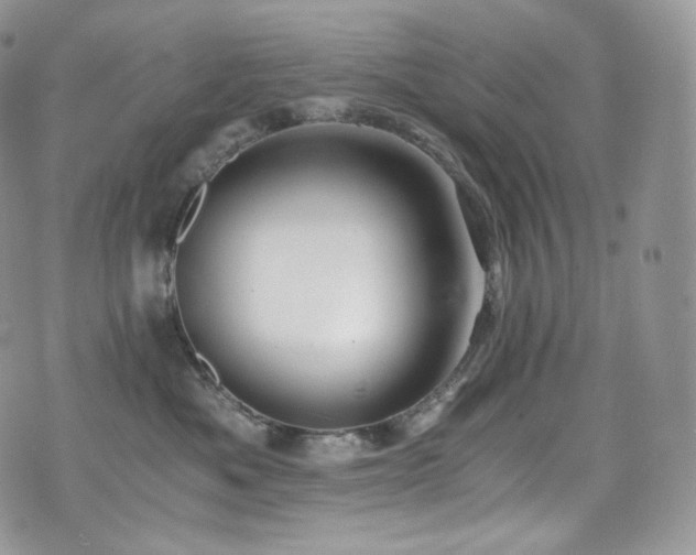 X0000073920525200608111225