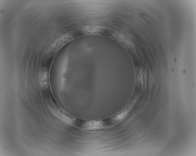 X0000073920526200608111225