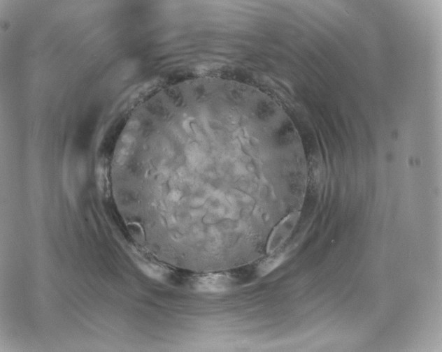 X0000073920527200608111225