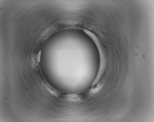 X0000073920528200608111225