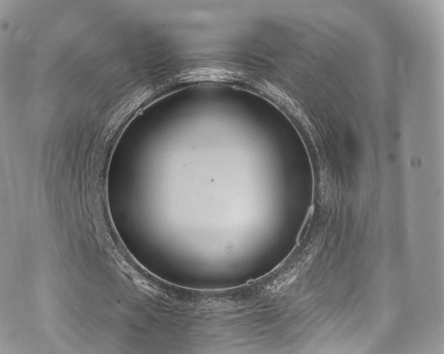 X0000073920529200608111225