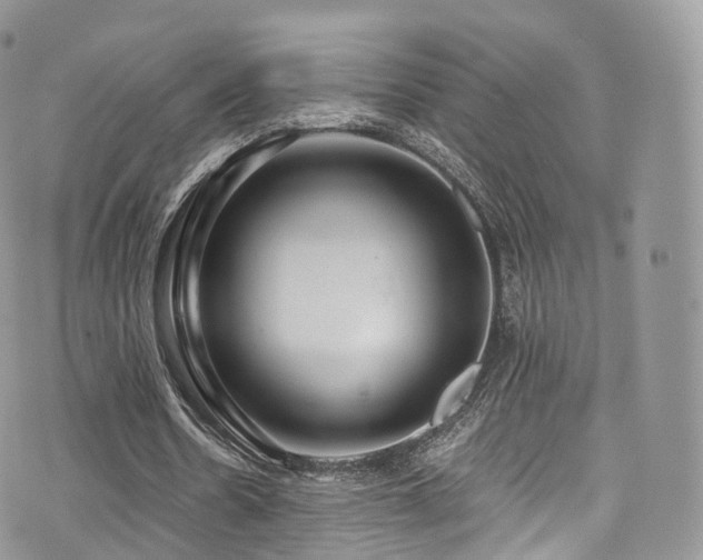 X0000073920530200608111225