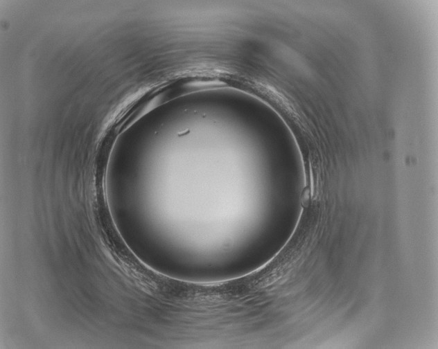 X0000073920531200608111225