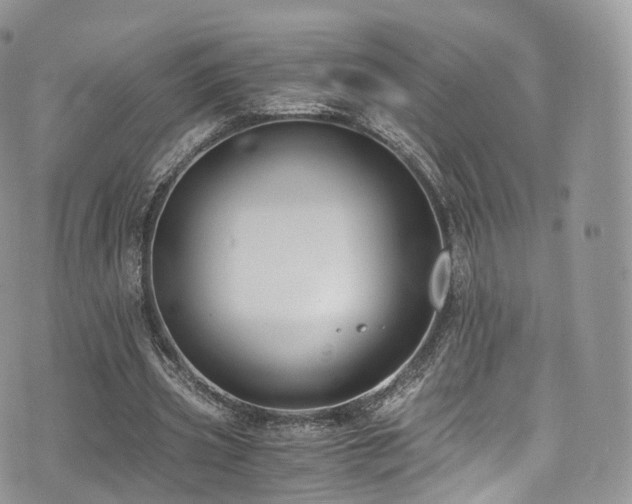 X0000073920533200608111225