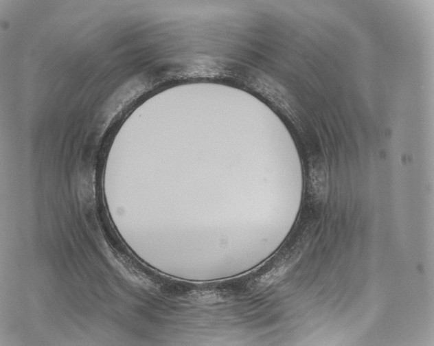 X0000073920534200608111225