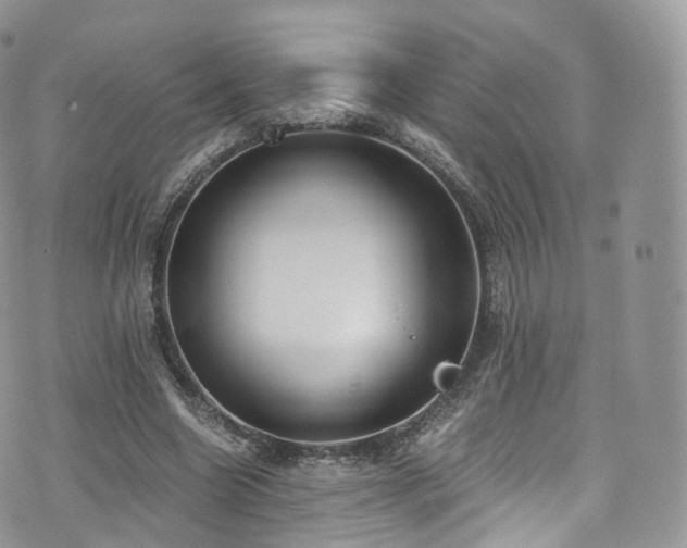 X0000073920538200608111225