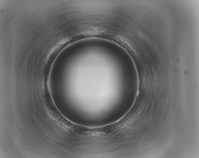 X0000073920539200608111225