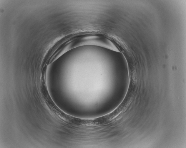 X0000073920540200608111225