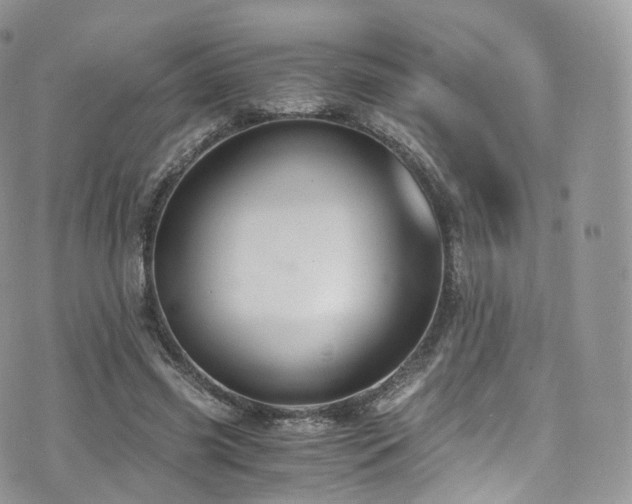 X0000073920541200608111225