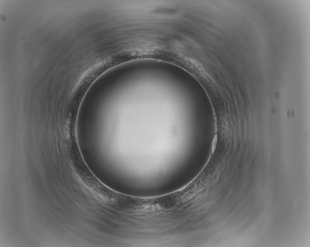 X0000073920543200608111225