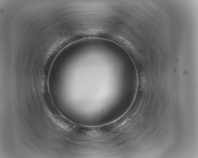 X0000073920544200608111225