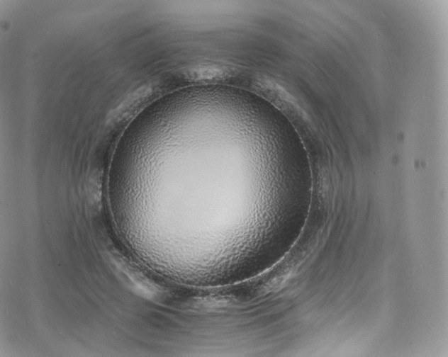 X0000073920545200608111225