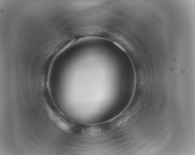 X0000073920546200608111225