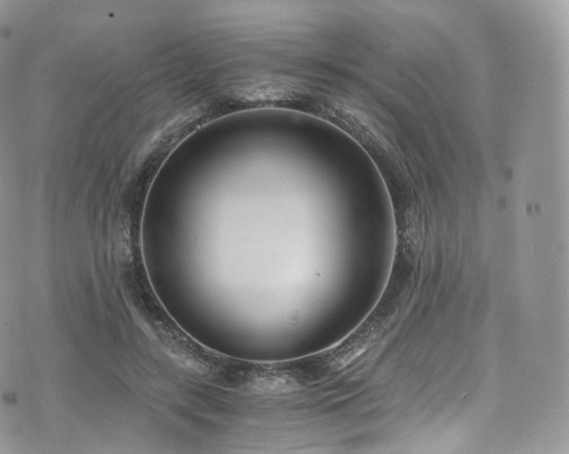 X0000073920547200608111225