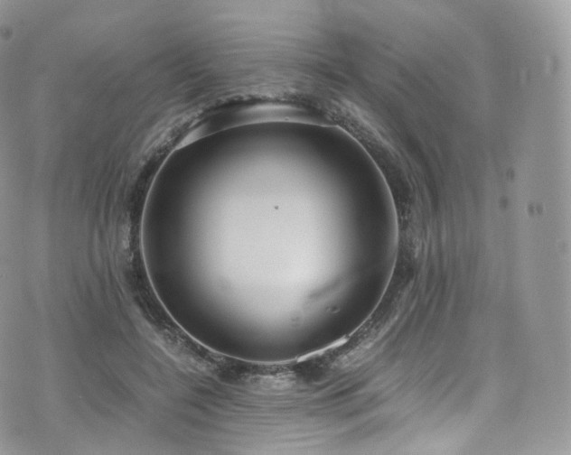 X0000073920548200608111225