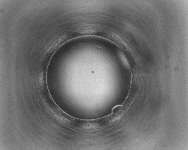 X0000073920549200608111225