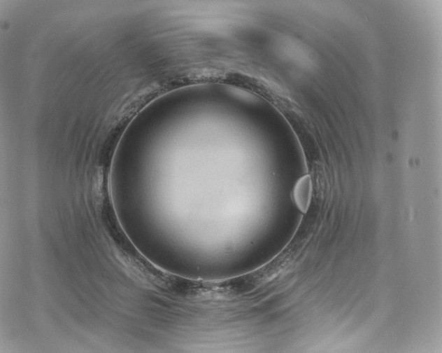 X0000073920550200608111225