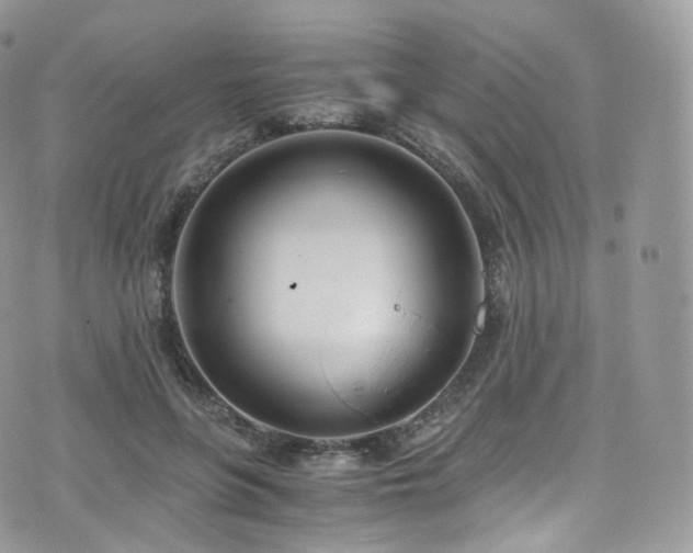 X0000073920551200608111225