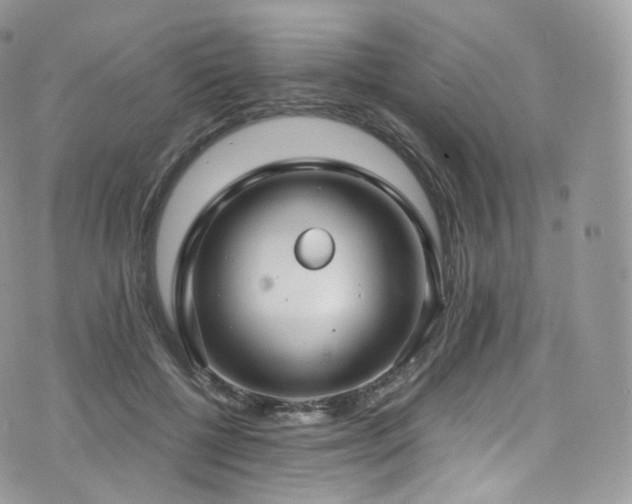 X0000073920552200608111225