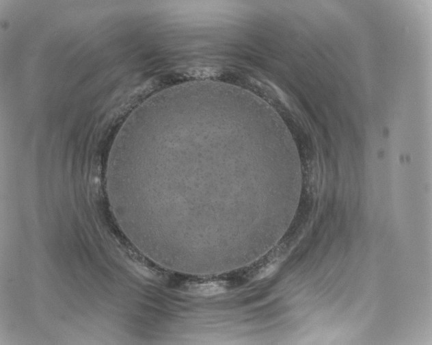 X0000073920553200608111225