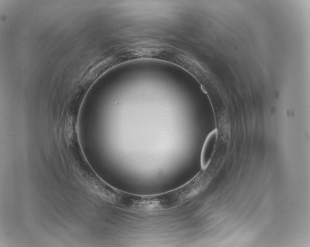 X0000073920554200608111225