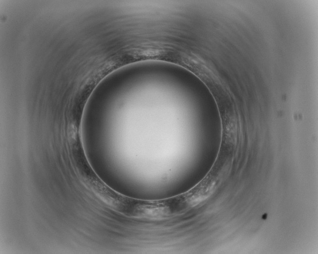 X0000073920555200608111225