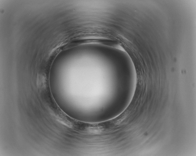 X0000073920556200608111225