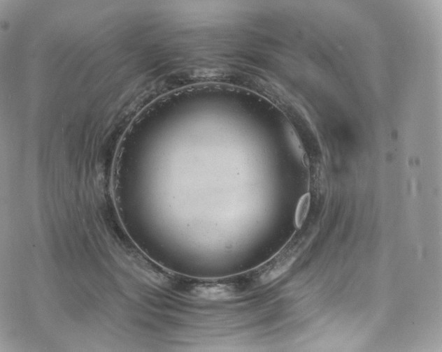 X0000073920557200608111225