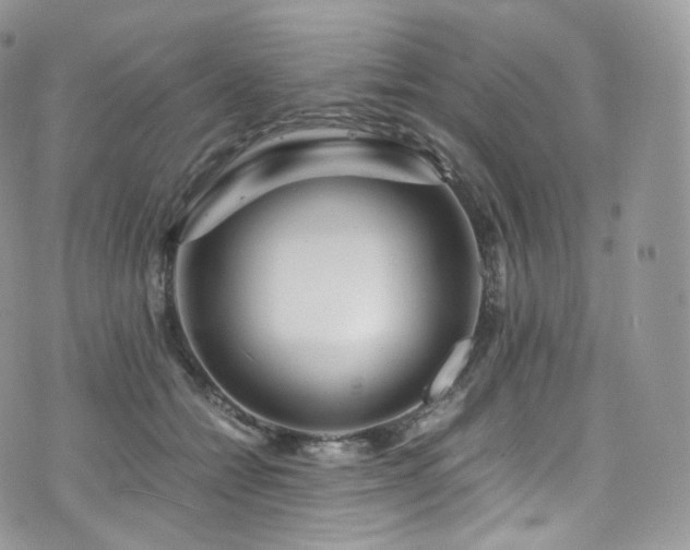 X0000073920558200608111225