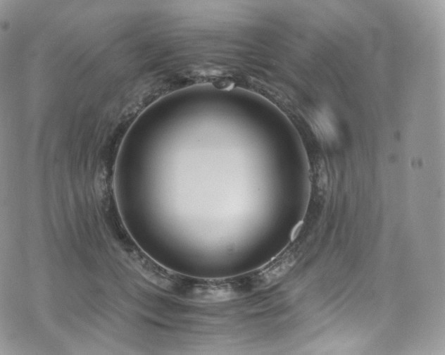 X0000073920559200608111225