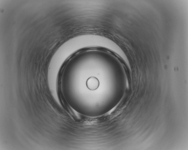 X0000073920560200608111225