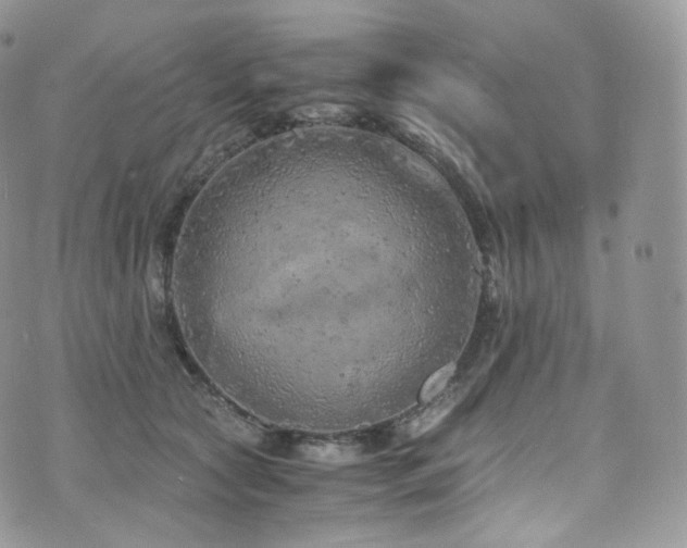 X0000073920561200608111225