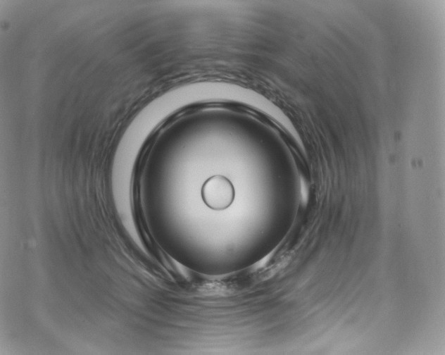 X0000073920562200608111225