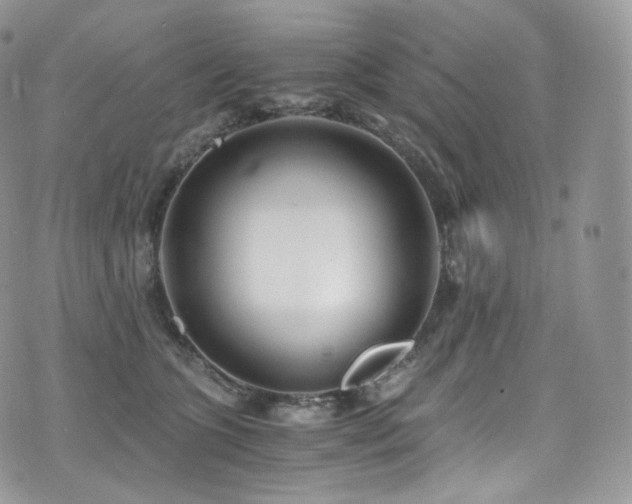 X0000073920563200608111225