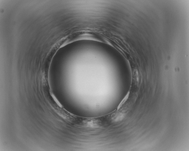 X0000073920564200608111225